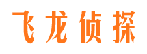 石鼓侦探